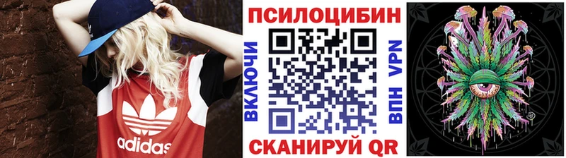купить наркотики сайты  Урень  Псилоцибиновые грибы Magic Shrooms 